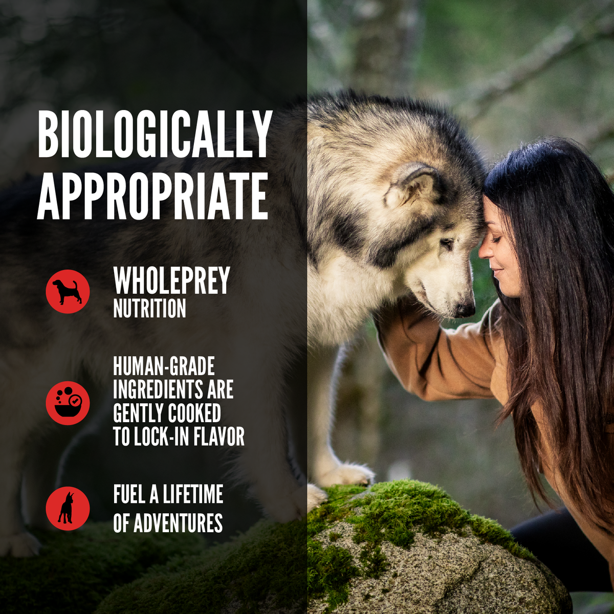 null - Product thumbnail 6.0